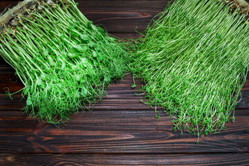 Wall Mural - Mixed Microgreens of clover and pea in box on wooden table background.