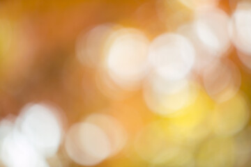 Bright orange blurred bokeh background of autumn foliage.