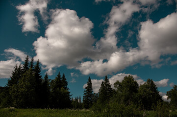 Summer landscape with blue sky and white clouds meadow and forest.