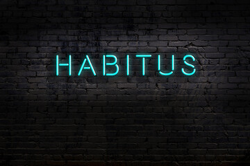 Wall Mural - Neon sign. Word habitus against brick wall. Night view