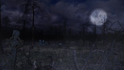 Wall Mural - old graveyard in burned out forest 4k loop features a view of an old cemetery surrounded by burned t