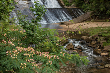 Moravian Falls