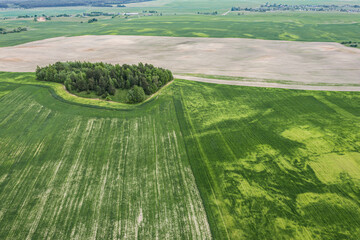 aerial view of rural area with green field and forest in sunny summer day