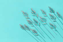 Yellow-green Spikelets Of Fescue On A Blue Background