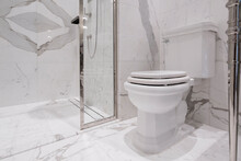 Interior Toilet Design With White Marble Stone And Accessory Fitting Home Design Concept