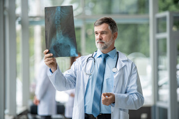 Wall Mural - Mature Doctor looking at an x-ray results in a hospital.