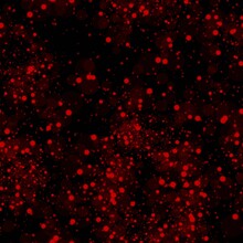 Seamless Red Black Background. Horror Background. Red And Black Dots Pattern Picture.