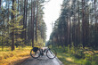 Spring outdoors: cycling in Bory Tucholskie, Poland