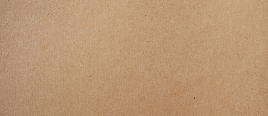 Wall Mural - brown paper background and texture with copy space