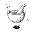 Mortar and pestle vector drawing. Engraving style pharmacy and medicine object.