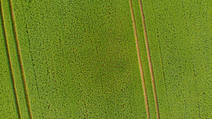 Drone fotography of a green field