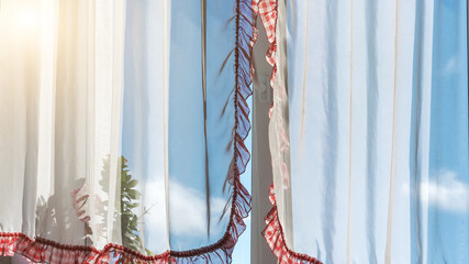 pot plant silhouette behind transparent curtains closeup