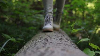 Wall Mural - hiking boot. hiker walking at fallen tree trunk in forest