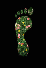 Carbon Footprint Concept Of Green Plant Footprint