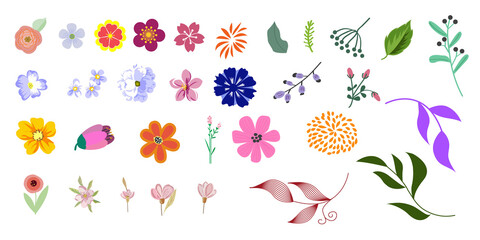 Wall Mural - Floral elements. Big vector set leaves and flowers for design  ideal. Different decorative elements. Vector