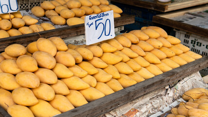 Wall Mural - selling fresh mangoes in a market in Asia. Mango is the most popular fruit in Asia.