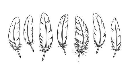 outline feathers set