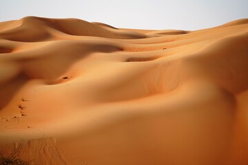 Wall Mural - sand dunes in the desert