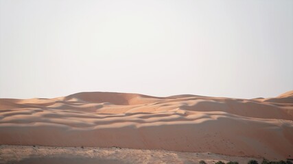 Wall Mural - sand dunes in the desert in sun and shadow