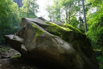 Wall Mural - Moss on the rock. Stolby national park in Krasnoyarsk. A forest and a large stone with moss at the foot of the mountain. Siberian nature landscape.