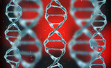 Fototapeta Koty - 3D render of a medical background with DNA strands in color background. DNA molecule structure. Helical structure of dna strand close-up.