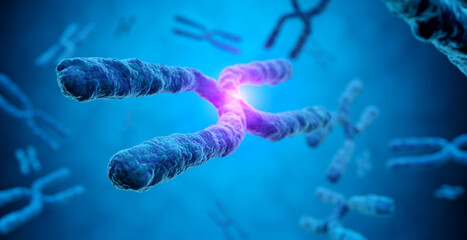 Wall Mural - magnification of X chromosome with a glowing effect in a blue background, 3d illustration - concept of cloning and genetic mutation