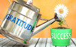 Gratitude helps achieving success - pictured as word Gratitude on a watering can to symbolize that Gratitude makes success grow and it is essential for profit in life and business, 3d illustration