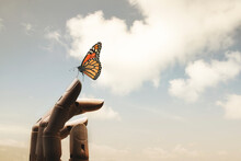 Surreal Encounter Between A Wooden Hand And A Colorful Butterfly