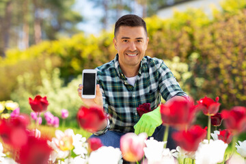 Wall Mural - gardening and people concept - happy smiling middle-aged man with smartphone taking care of flowers at summer garden