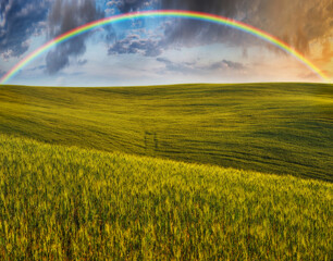  Scenic view of rainbow over green field
