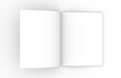 © SrgSie - Template of an empty open magazine.  3D rendering.