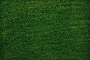 green grass texture