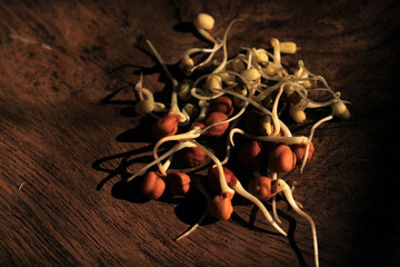 Wall Mural - Fresh Sprouted green gram isolated with wooden background. Germinating Chick pea and green gram isolated on wooden background.