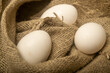 © Андрей Захаров - White chicken eggs on a background of homespun fabric with a rough texture. Close up.
