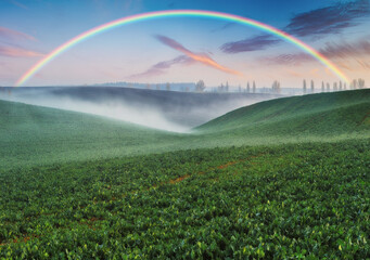  Rainbow over a picturesque hilly field