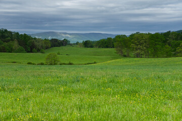 A beautiful green pasture with yellow buttercups under threatening skies with mountains in the background and trees in the distance.