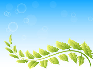 Wall Mural - Ecology leafs and bubbles sunny sky background logo vector image design