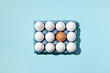 © Dani Enamorado/ADDICTIVE STOCK - Top view of single brown and white eggs placed in paper tray demonstrating concept of difference on blue background in studio