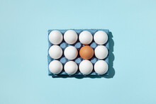 Top View Of Single Brown And White Eggs Placed In Paper Tray Demonstrating Concept Of Difference On Blue Background In Studio