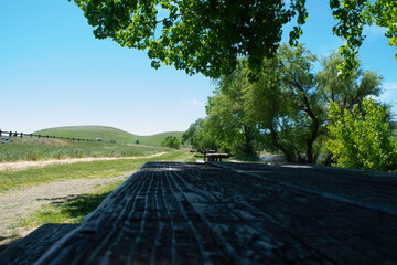 road in the park