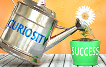 Curiosity Helps Achieving Success - Pictured As Word Curiosity On A Watering Can To Symbolize That Curiosity Makes Success Grow And It Is Essential For Profit In Life And Business, 3d Illustration