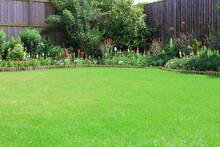 Garden With Flowers And Shrubs And A Green Lawn Surrounded By A Wooden Fence.