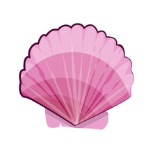 Pale Pink Sea Shell Illustration