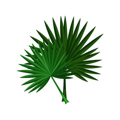 Wall Mural - Palm leaves illustration