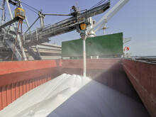 Loading Of Urea In Bulk Into Cargo Ship's Hold