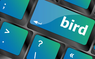 Poster - Button keyboard key, keypad with bird word