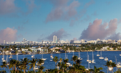 Fototapete - Many Sailboats and Yachts Moored in Biscayne Bay