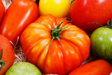 Fototapeta Kuchnia - .heirloom tomatoes also known as heritage tomatoes