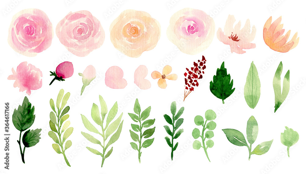 Botanical illustration of pink and peach roses with greenery leaves and ...