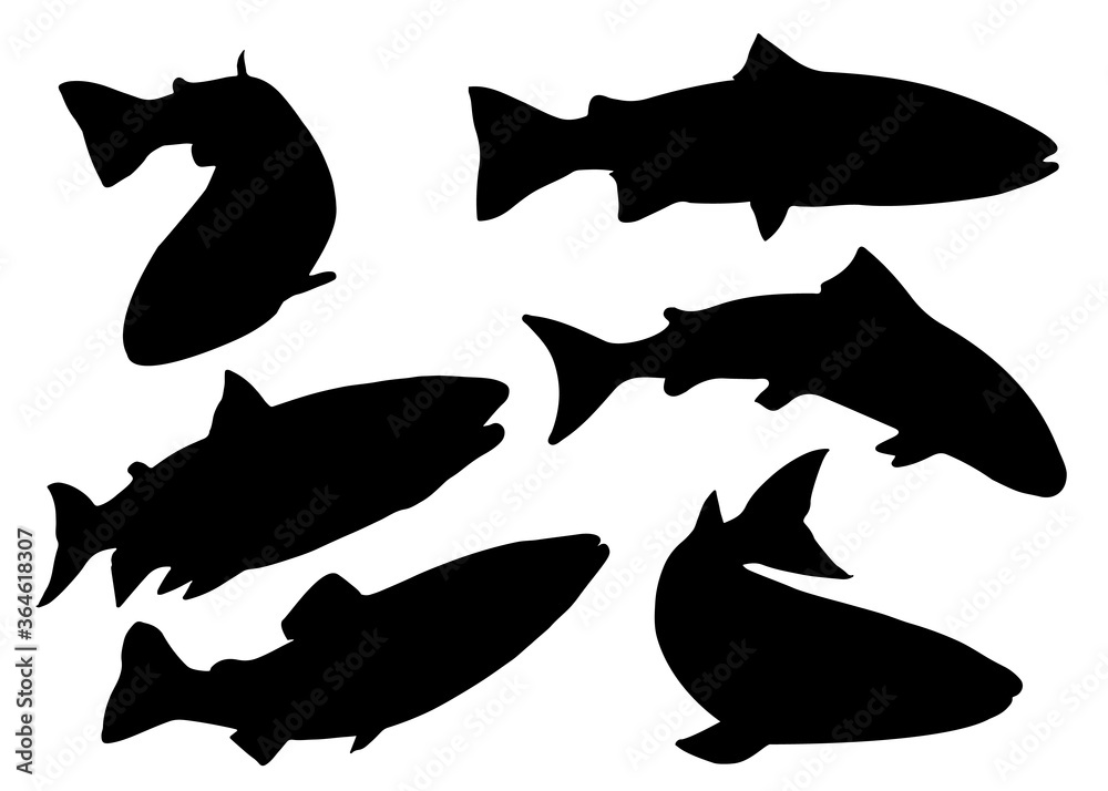 Fish salmon in the set. Vector image. - obrazy, fototapety, plakaty 